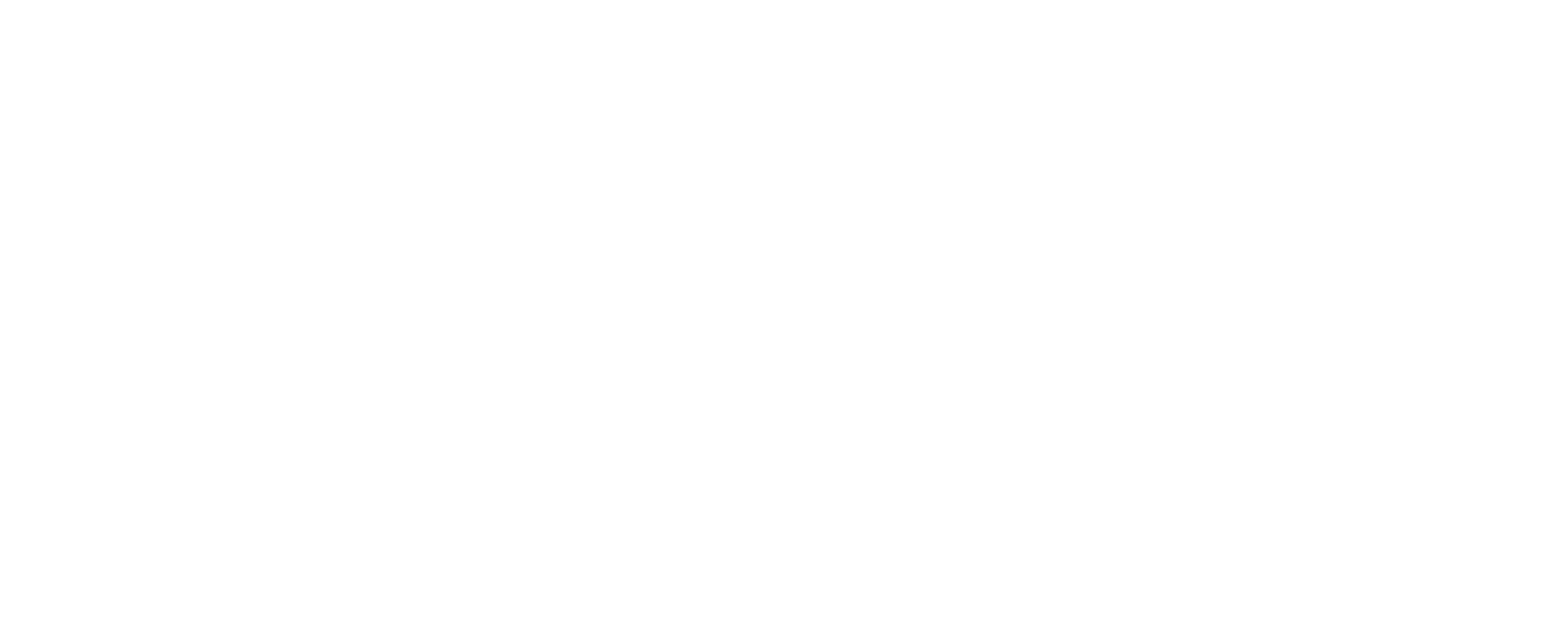 logo white